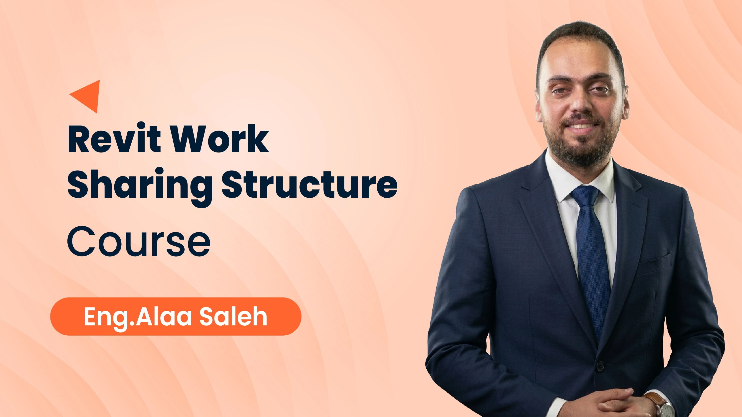 Revit Work sharing Structure